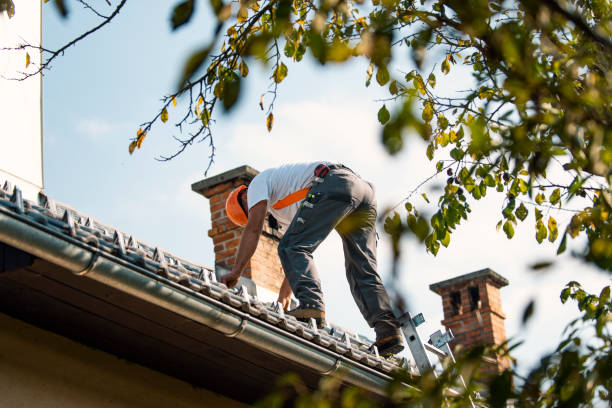 Professional Roofing Contractor in De Kal, TX