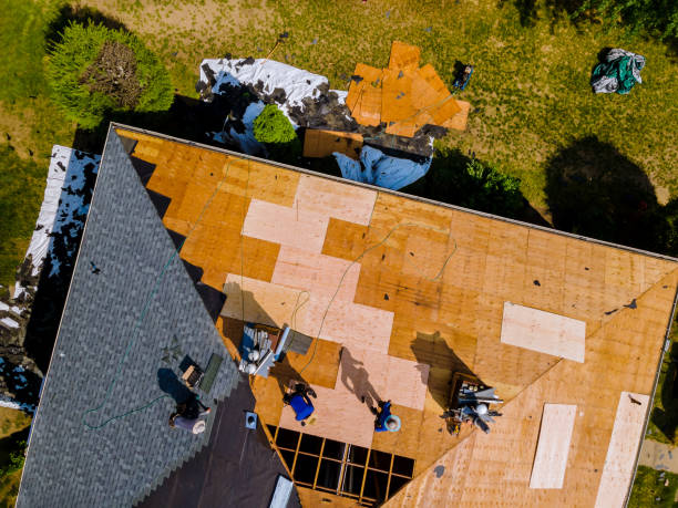Best Shingle Roofing Installation  in De Kal, TX
