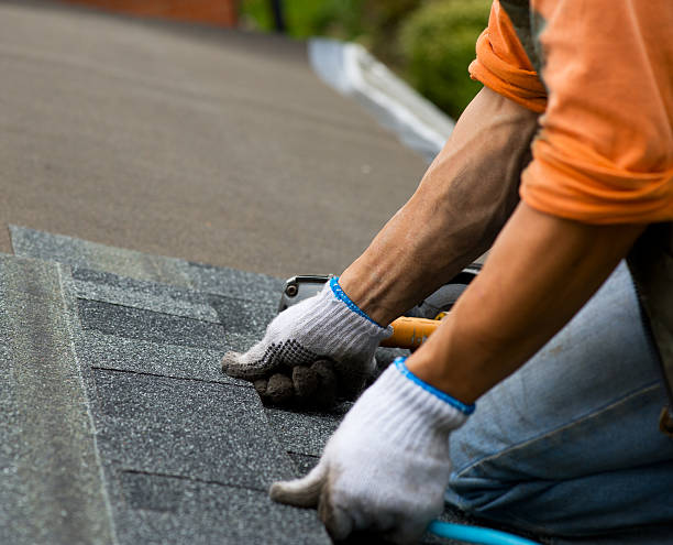 Best Roof Repair Services  in De Kal, TX